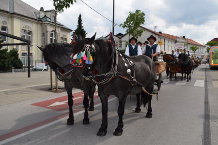 Fotografije Srečko Šajn (18)
